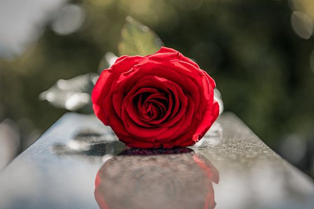 Do I really need a pre-paid funeral plan? image