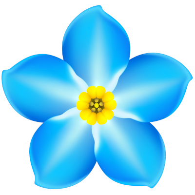 forget me not image